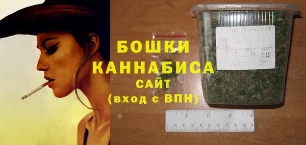 тгк Горнозаводск