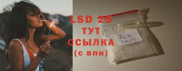 PSILOCYBIN Елизово