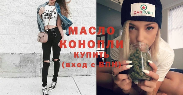 крисы Ельня