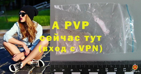 стафф Тайга