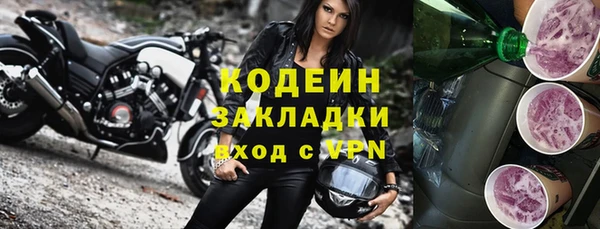 ПСИЛОЦИБИНОВЫЕ ГРИБЫ Сясьстрой