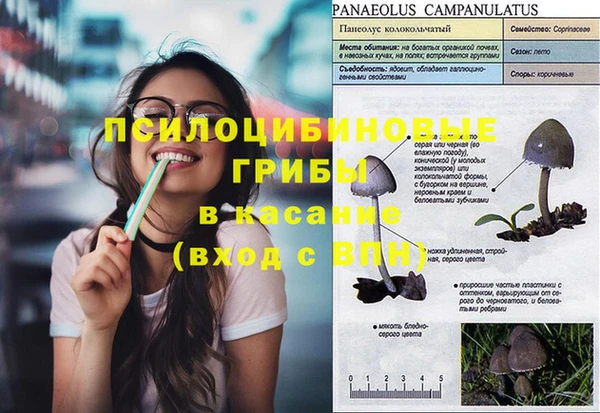 таблы Гусь-Хрустальный