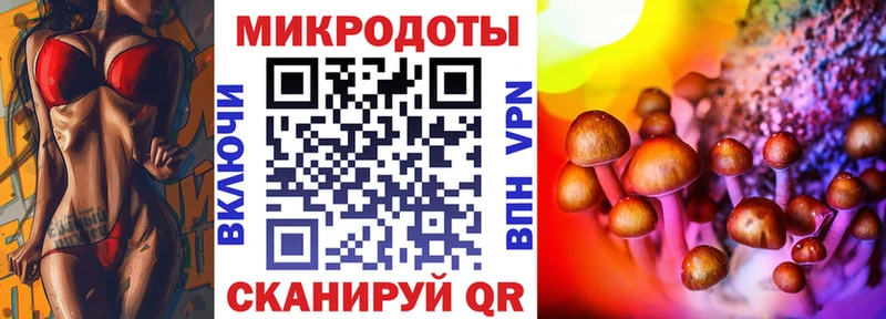 Купить закладки Няндома Галлюциногенные грибы GOLDEN TEACHER